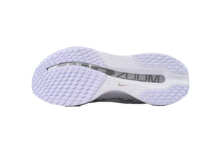 102 Air Zoom Pegasus Premium 'White Metallic Silver — image 9
